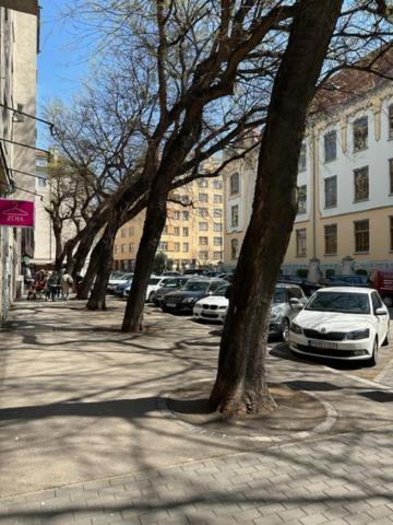 Sunny House One Lägenhet Bratislava Exteriör bild